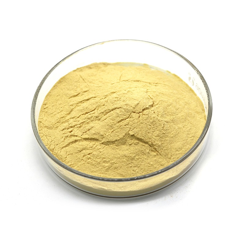 Lily Extract-3