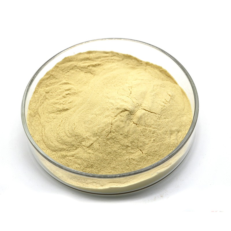 益母草提取物 (3)